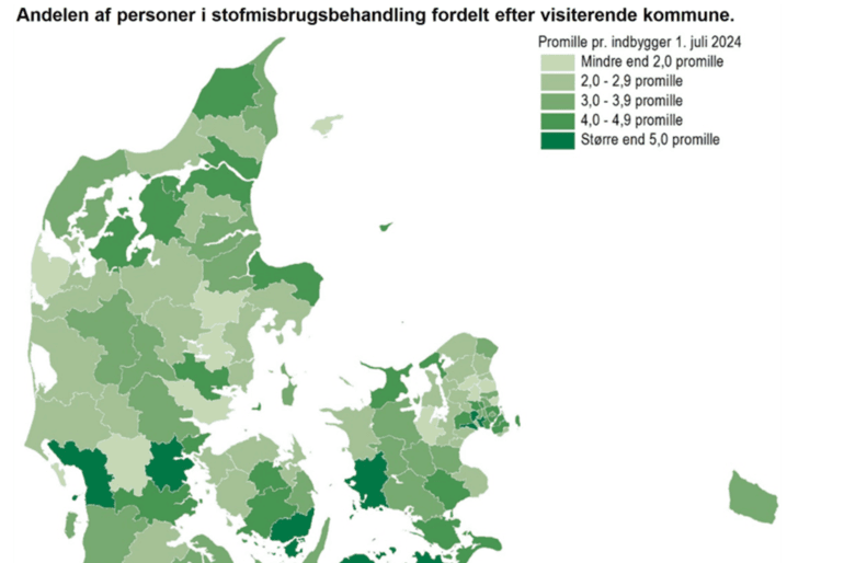 Danmarks Statistik
