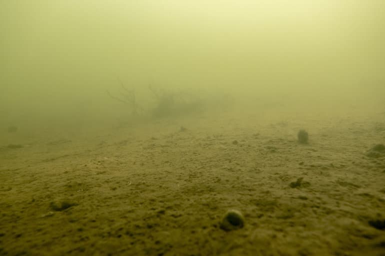 Asger Ladefoged/Ritzau Scanpix