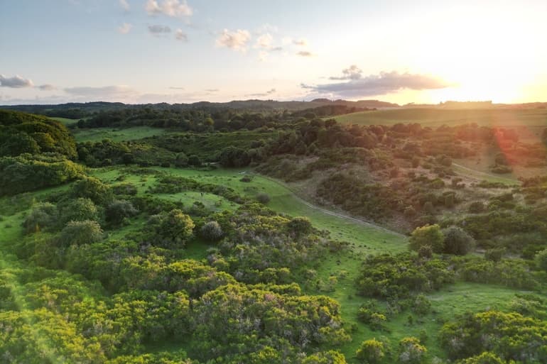 Jens Thorving Andersen/Free