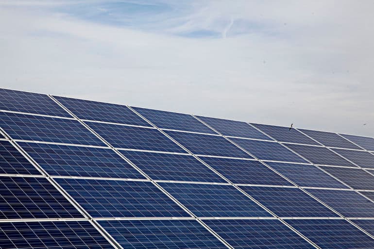 Jonas Skovbjerg Fogh/Jonasskovbjergfogh/Ritzau Scanpix