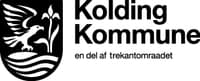 Vicedirektør med ansvar for byudvikling 