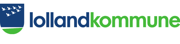Sektorchef for HR og IT