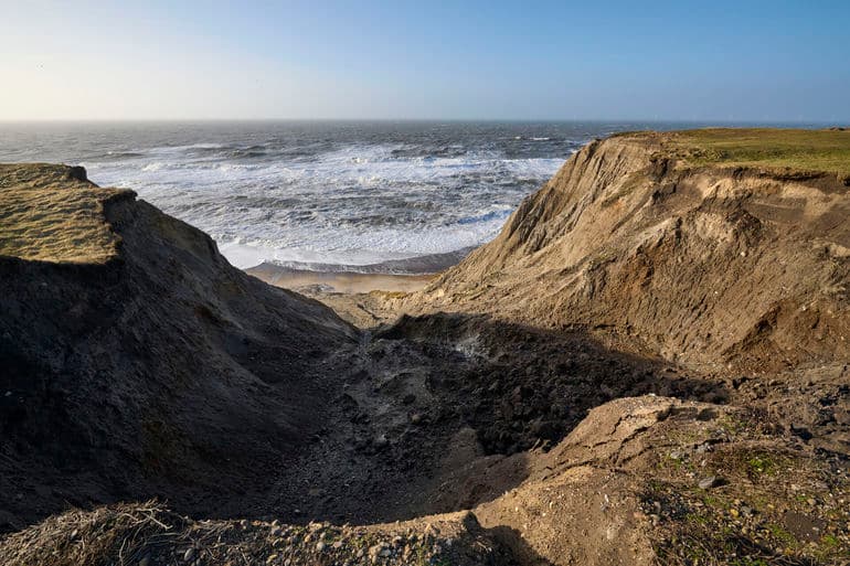 Morten Rasmussen/Biofoto/Ritzau Scanpix